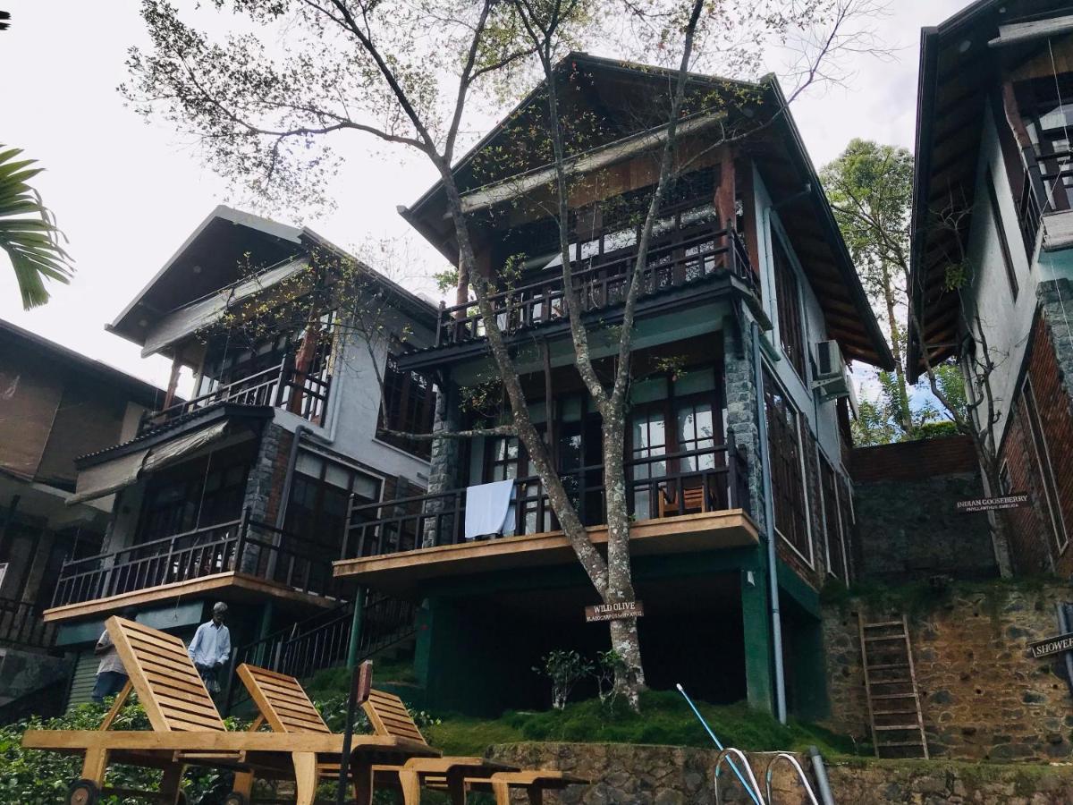 Tina Nature Villa Ella Ngoại thất bức ảnh