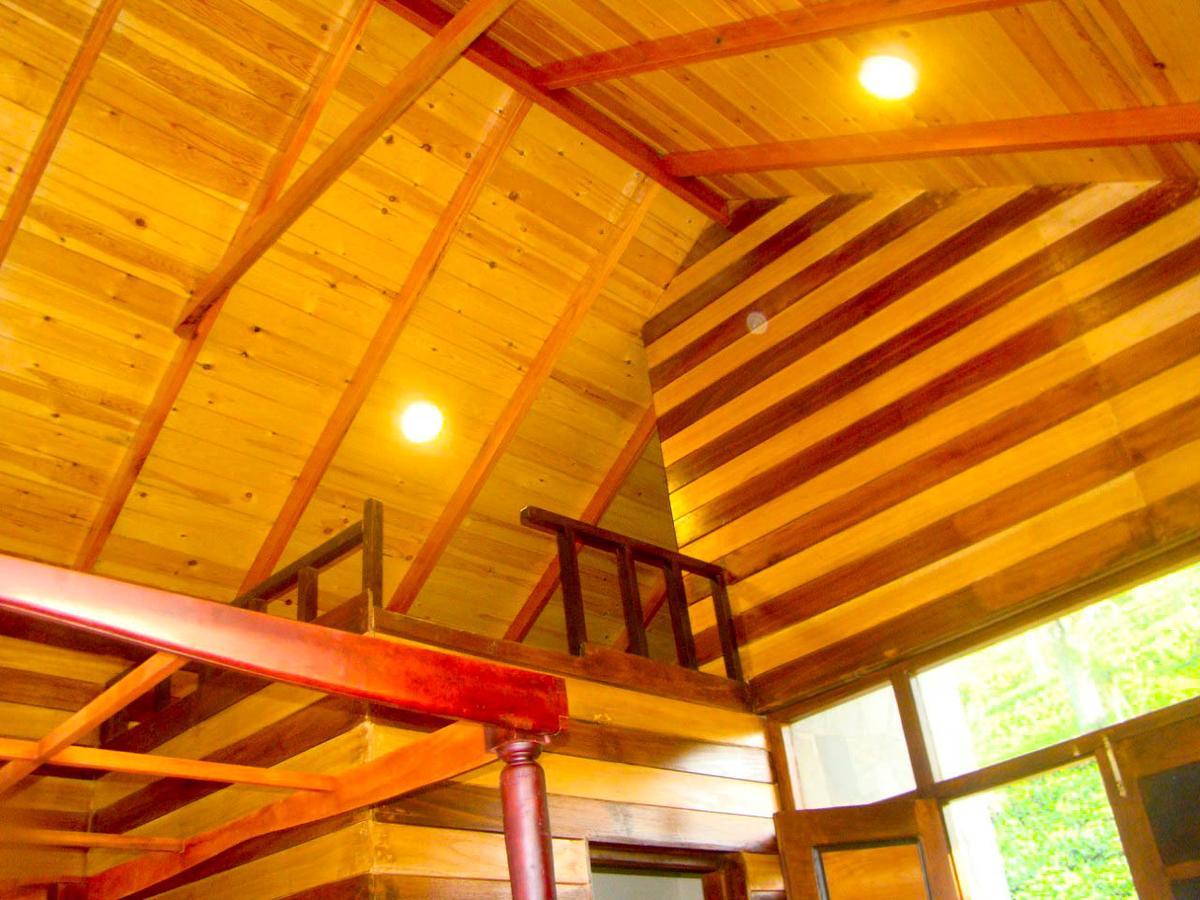 Tina Nature Villa Ella Ngoại thất bức ảnh