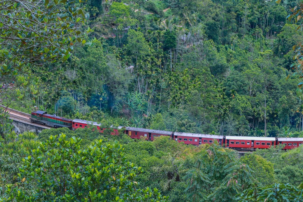 Tina Nature Villa Ella Ngoại thất bức ảnh